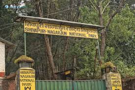 Shivapuri National Park Hiking